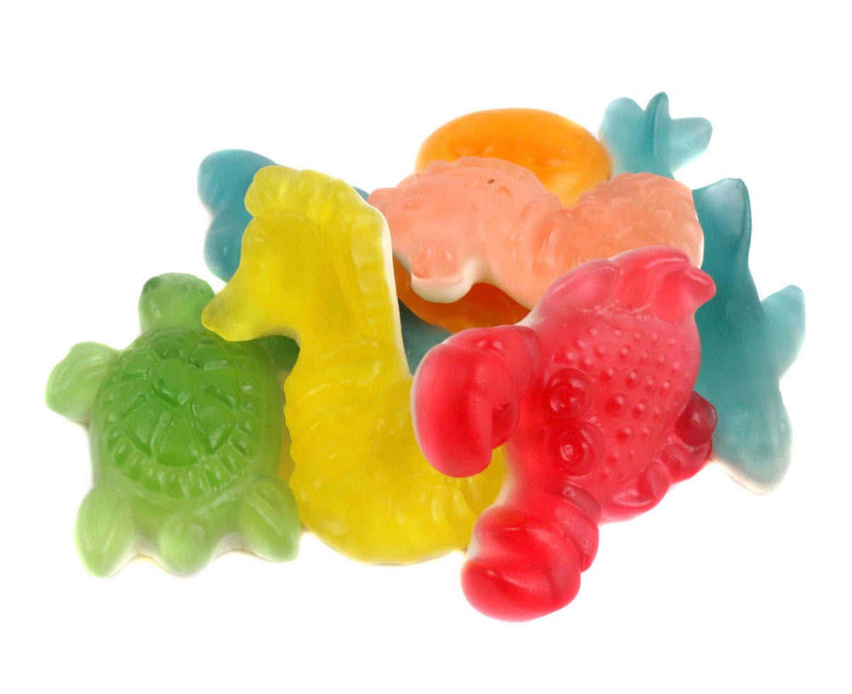 Ocean Creatures
