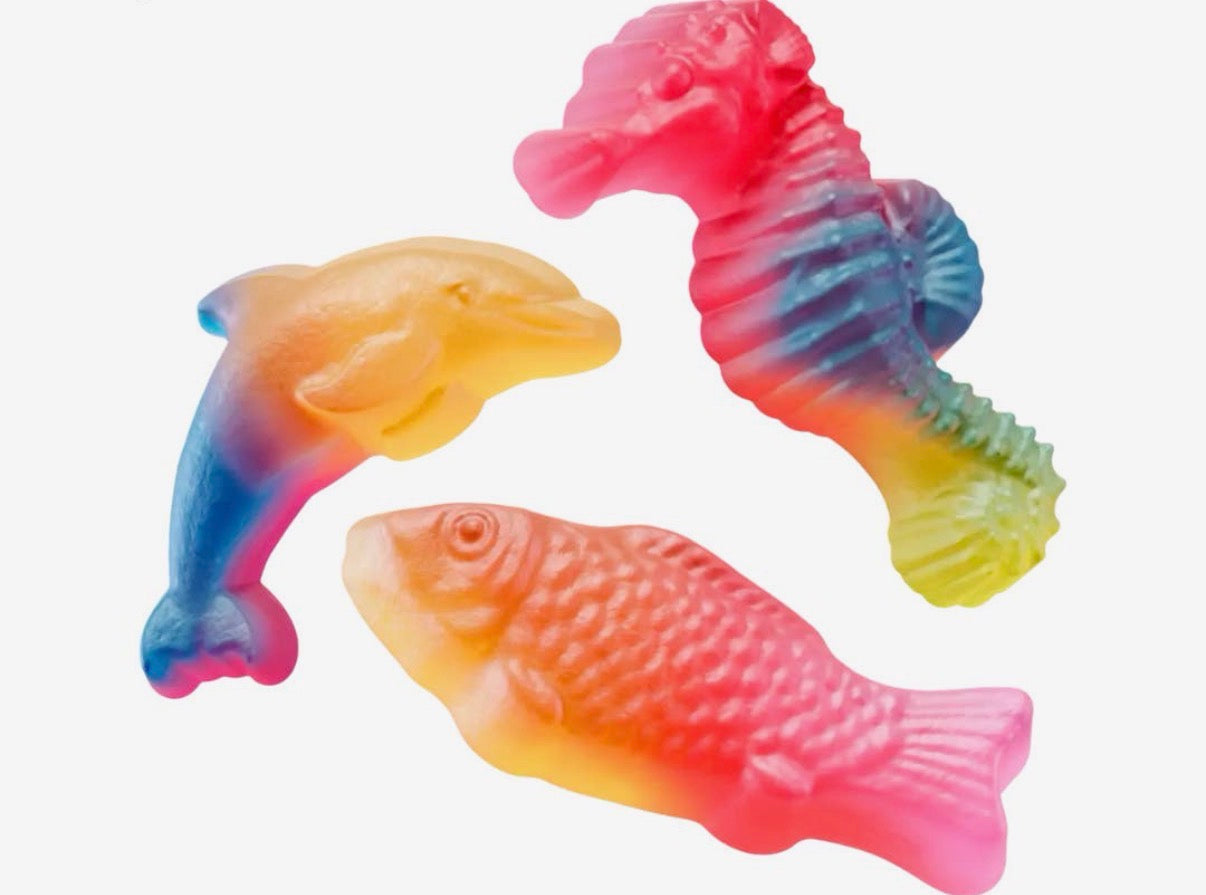 Rainbow Sea Creatures