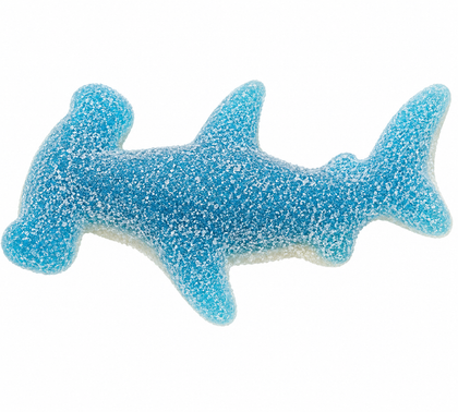 Sour Hammer Head Shark