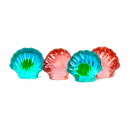 3D Filled Seashells
