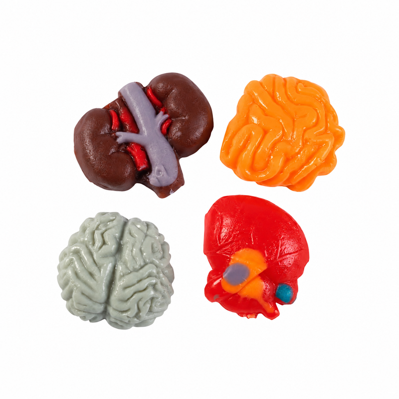 Organs