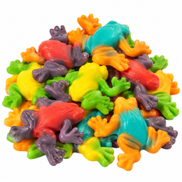 Rain Forest Frogs