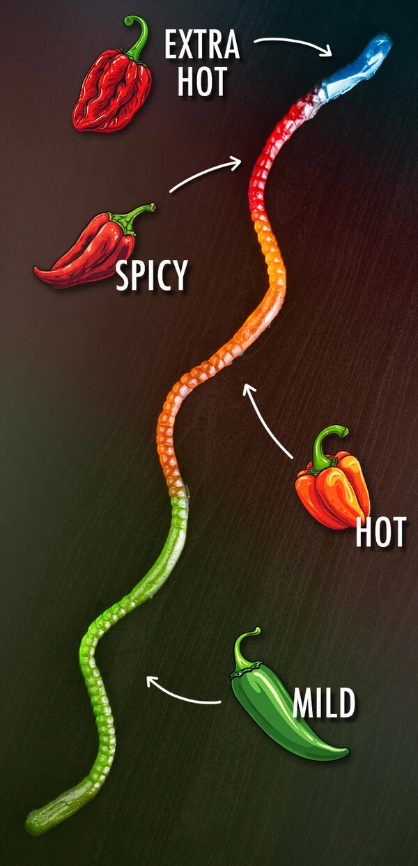 The Gummy Fireworm *VERY HOT*
